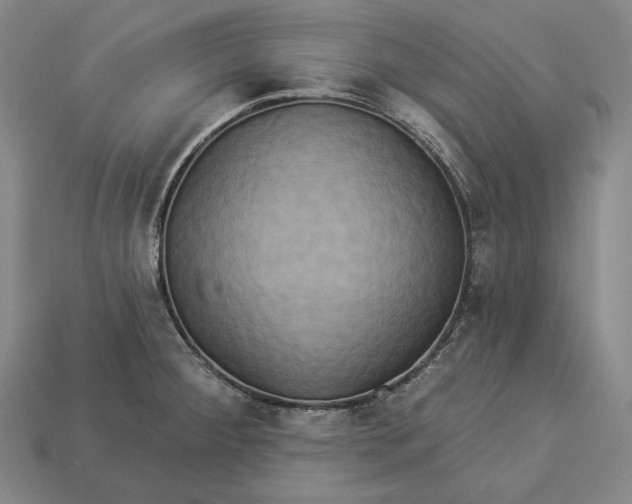 X0000112891284200909111457