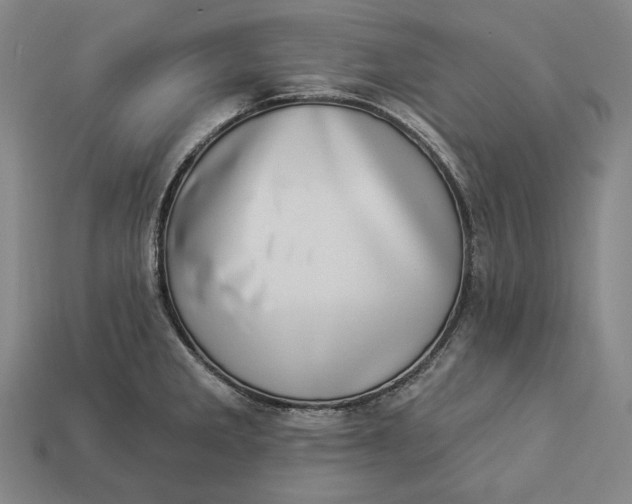 X0000112891285200909111457