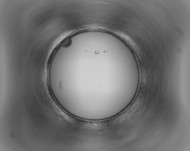X0000112891286200909111457