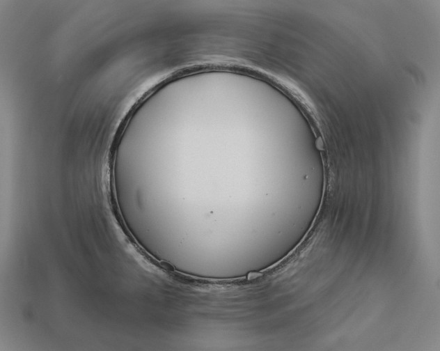 X0000112891287200909111456