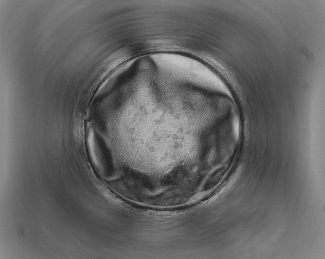 X0000112891289200909111456