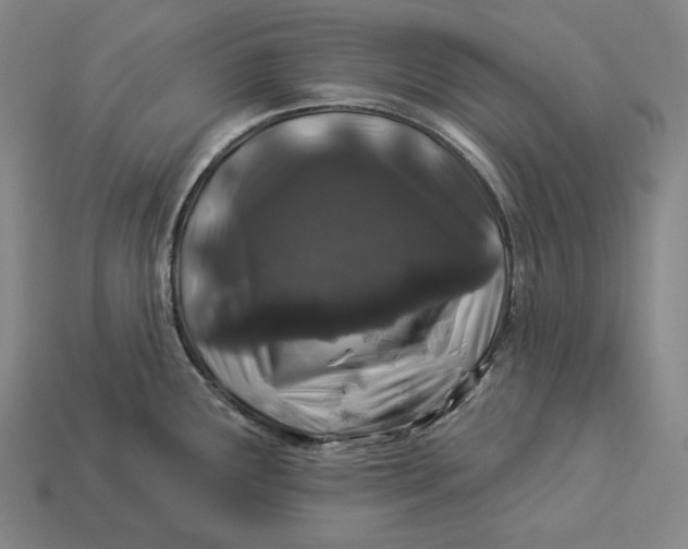 X0000112891291200909111456