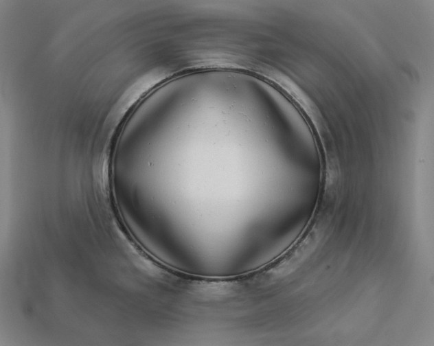 X0000112891293200909111456