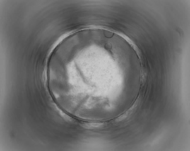 X0000112891294200909111456