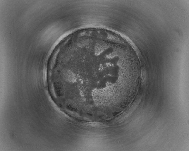 X0000112891295200909111456