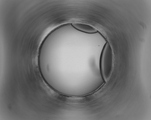 X0000112891296200909111456