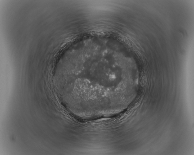 X0000112891297200909111456