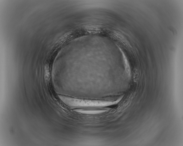 X0000112891298200909111456