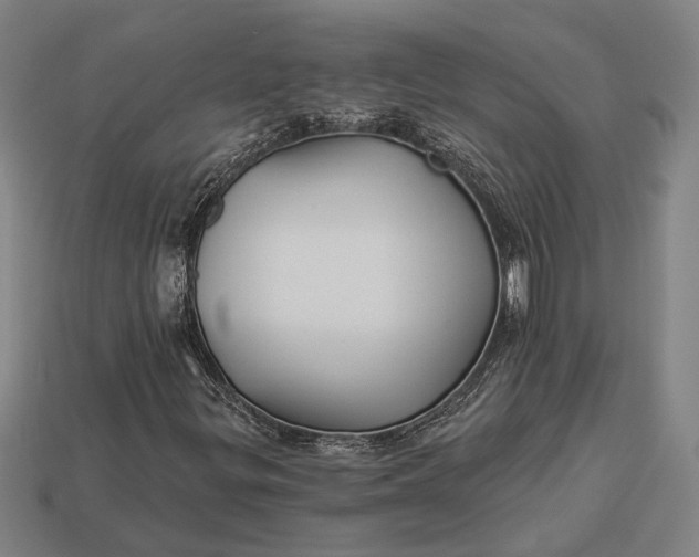 X0000112891299200909111456
