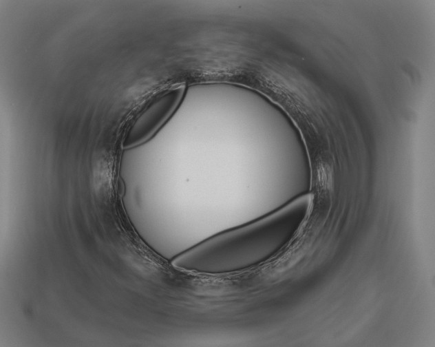 X0000112891300200909111456