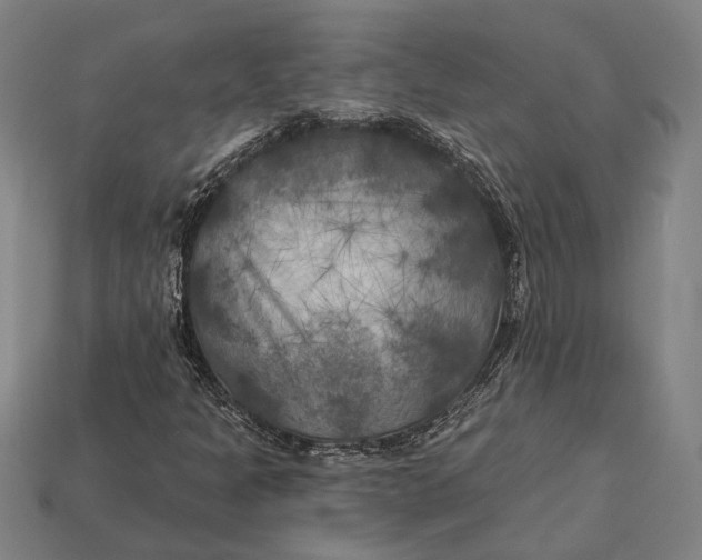 X0000112891301200909111456