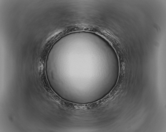 X0000112891302200909111456