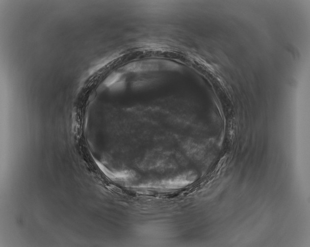 X0000112891303200909111456