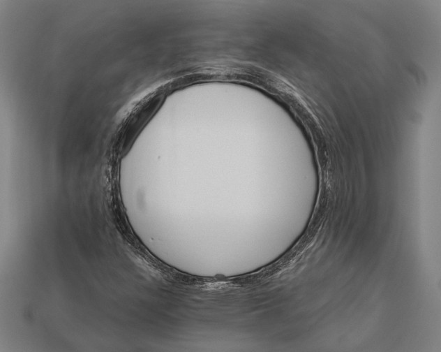 X0000112891304200909111456