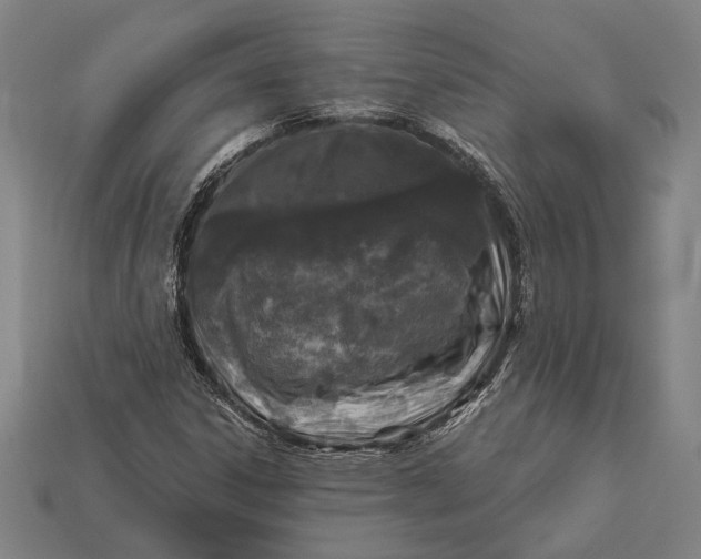 X0000112891306200909111456