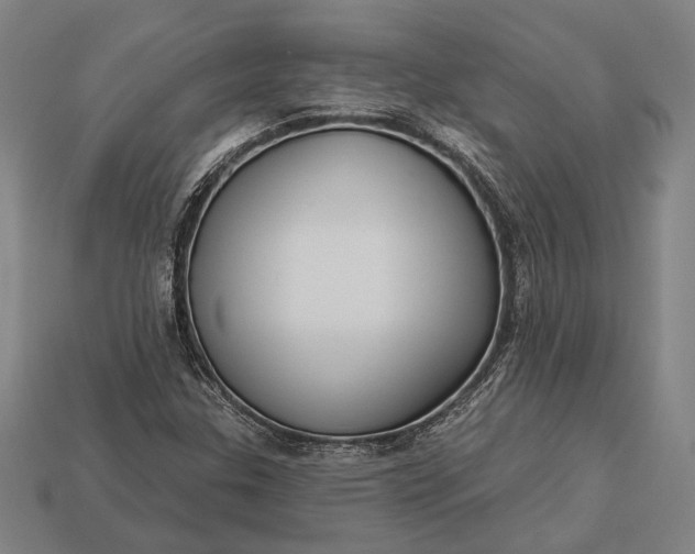 X0000112891307200909111456
