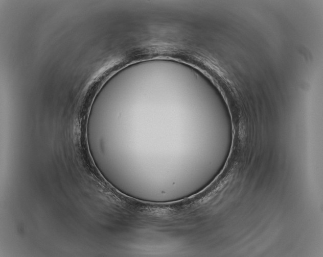X0000112891309200909111456