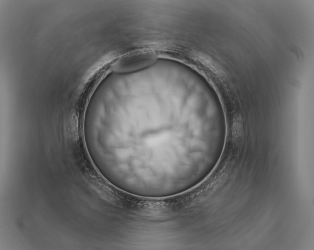 X0000112891310200909111456