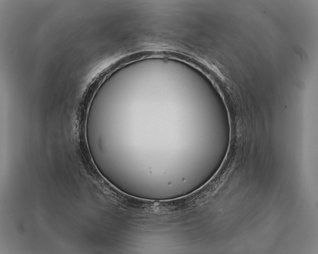 X0000112891311200909111456