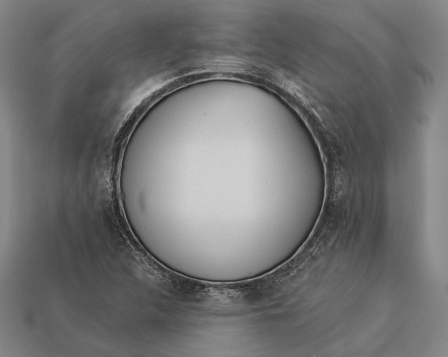 X0000112891312200909111456