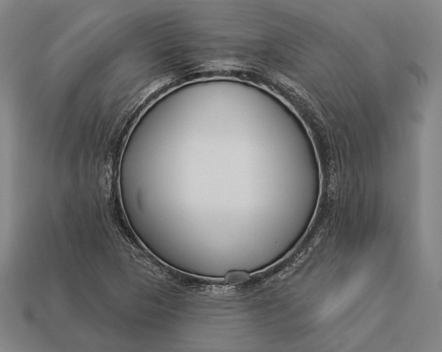 X0000112891313200909111456