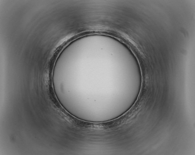 X0000112891315200909111456