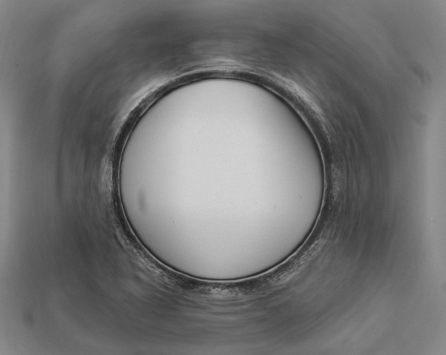 X0000112891318200909111456