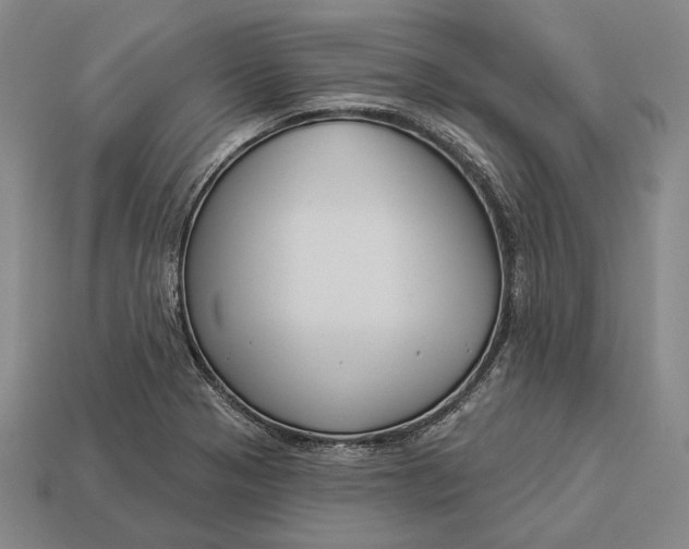 X0000112891321200909111456