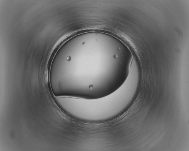 X0000112891324200909111456