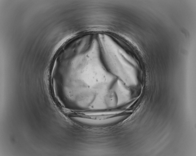 X0000112891325200909111456