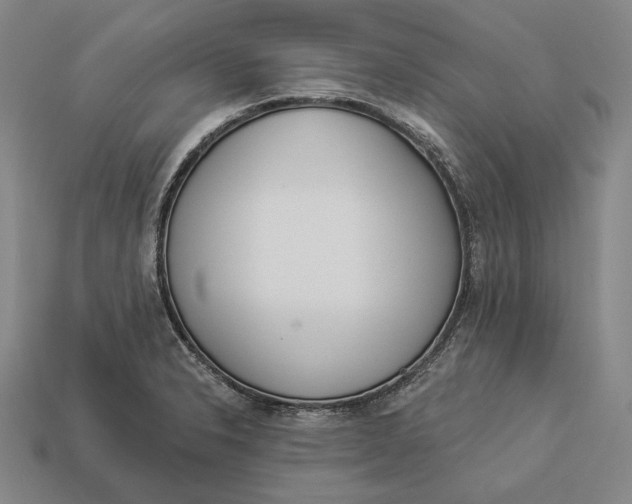 X0000112891326200909111456