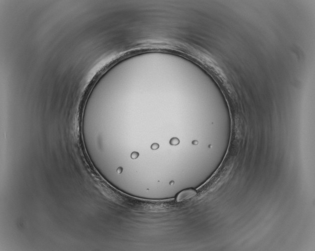 X0000112891328200909111456