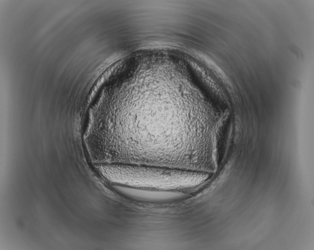 X0000112891329200909111456