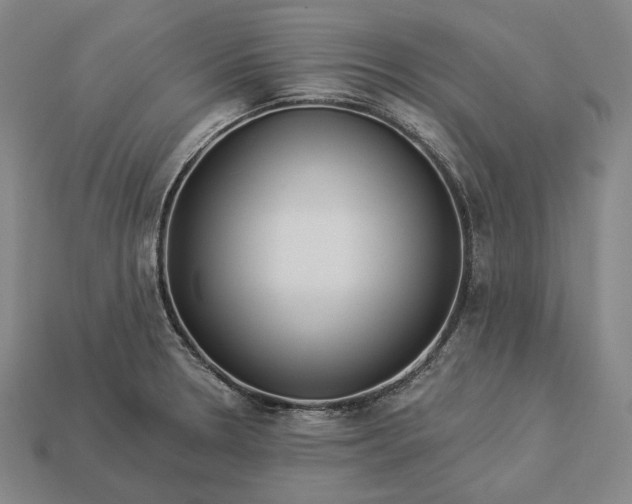 X0000112891330200909111456