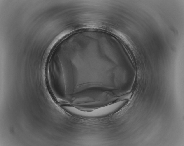 X0000112891331200909111456