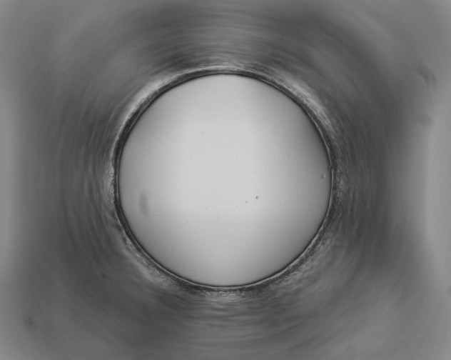 X0000112891332200909111456
