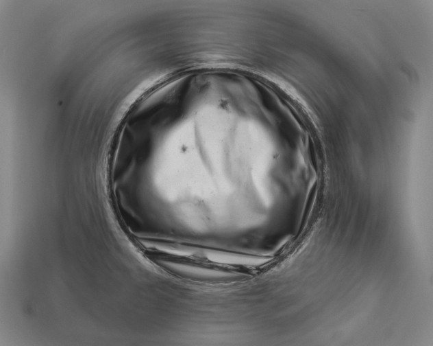 X0000112891333200909111456