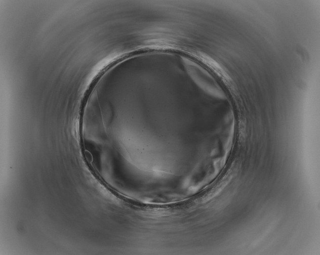 X0000112891334200909111456