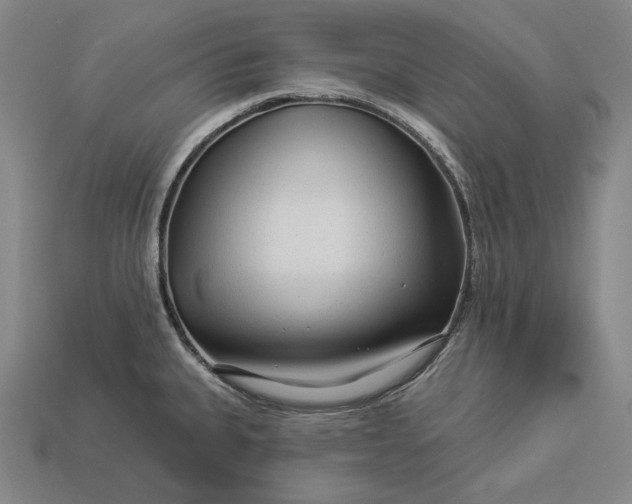 X0000112891335200909111456