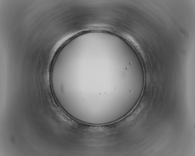X0000112891336200909111456