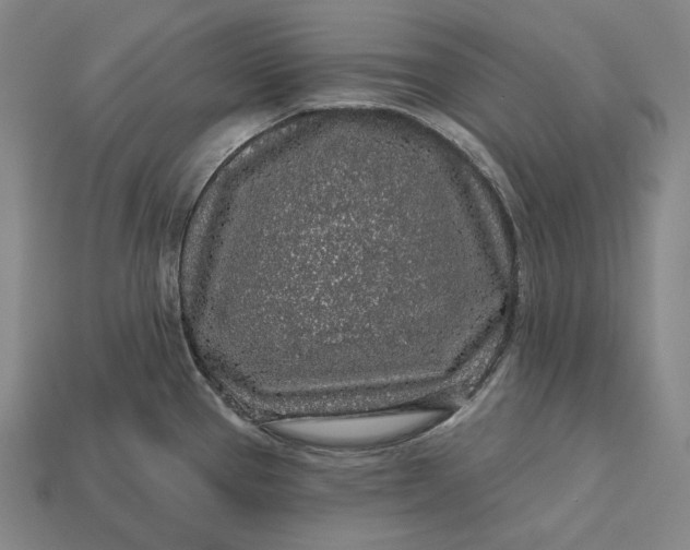 X0000112891337200909111456