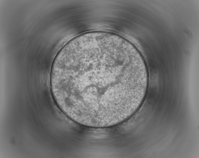 X0000112891338200909111456