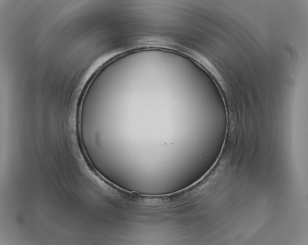 X0000112891339200909111456