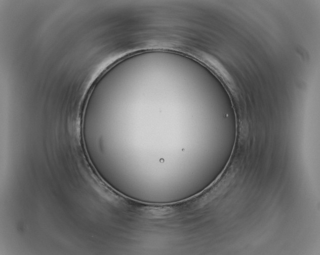 X0000112891340200909111456