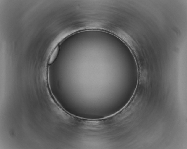 X0000112891342200909111456