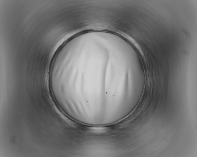 X0000112891343200909111456