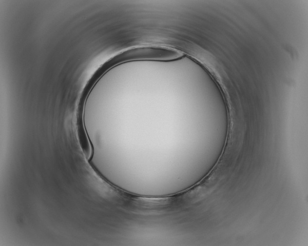 X0000112891344200909111456
