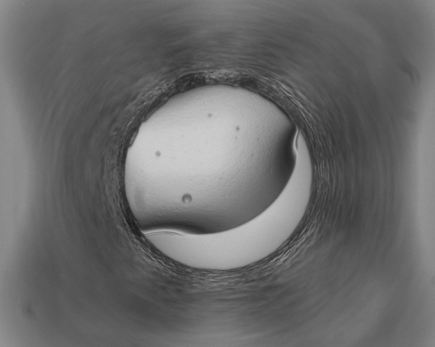 X0000112891345200909111456