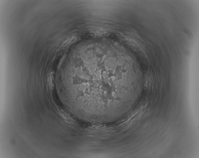 X0000112891346200909111456