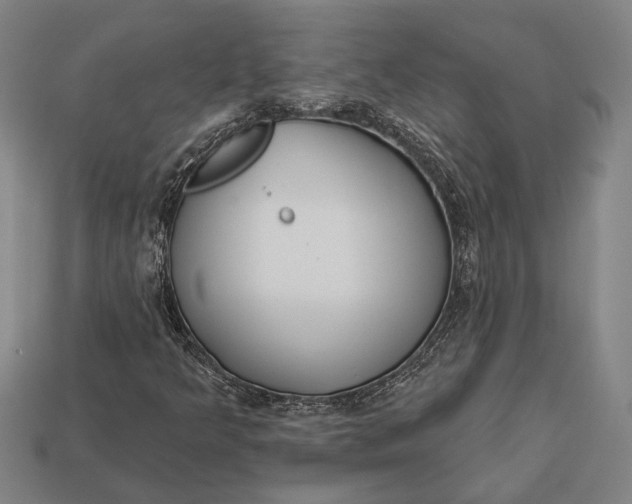 X0000112891349200909111456